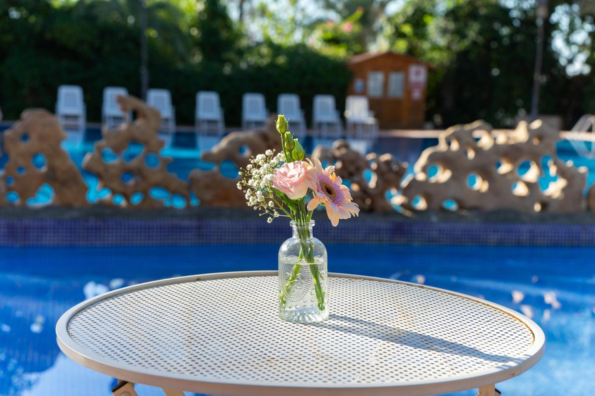 Las Palmeras Crevillente Dış mekan fotoğraf